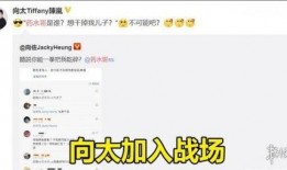 水哥爆料截图视频大全集,揭秘幕后真相，带你走进事件核心